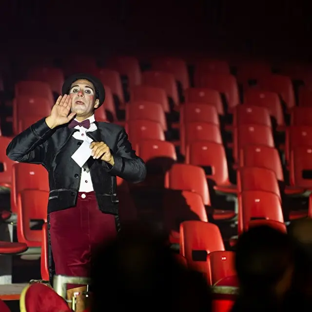 Cirque de Noël 2025 - Pau - gradins