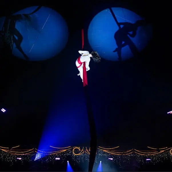 Cirque de Noël 2025 - Pau - spectacle aérien
