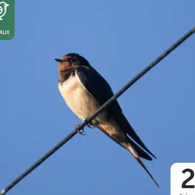 Capture d'écran 2025-12-08 151147