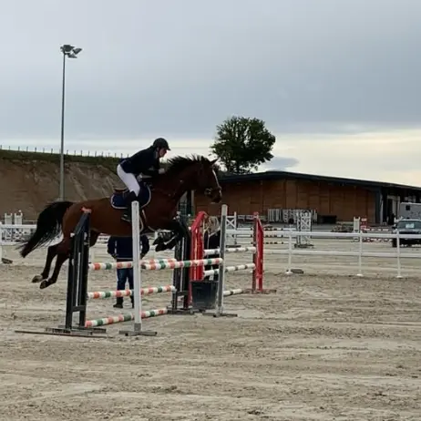 Capture d'écran 2025-12-18 103548