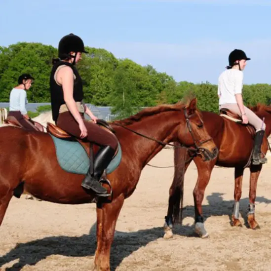 Capture d'écran 2025-12-18 104610