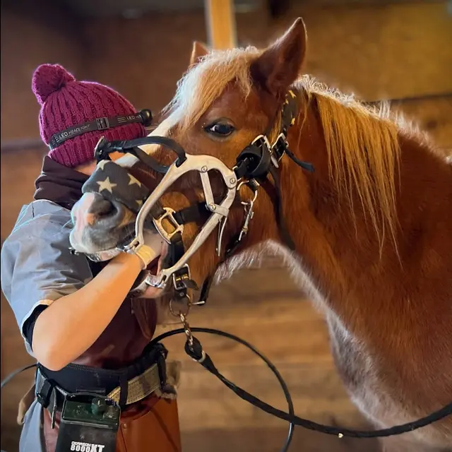 Capture d'écran 2026-02-12 143943