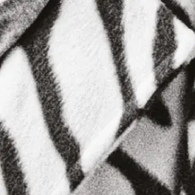 Capture d’écran 2026-02-19 114102