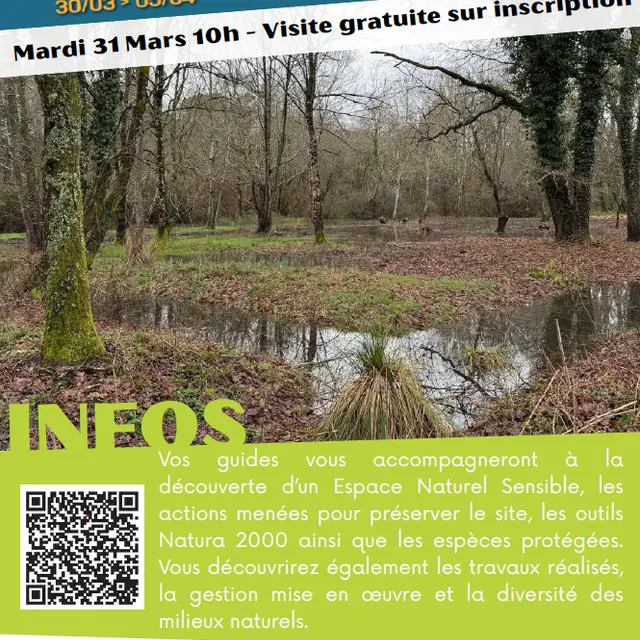 VISITE 31/03/26 VAL DE LIVENNE - 800x600
