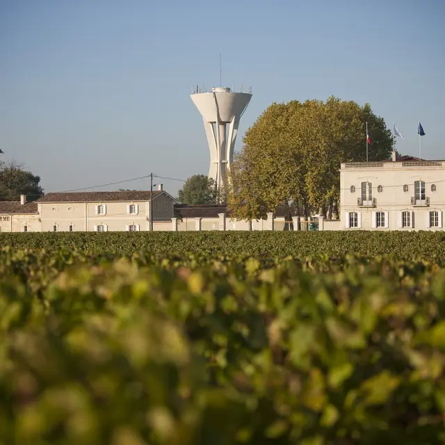 Chateau Marquis de Terme