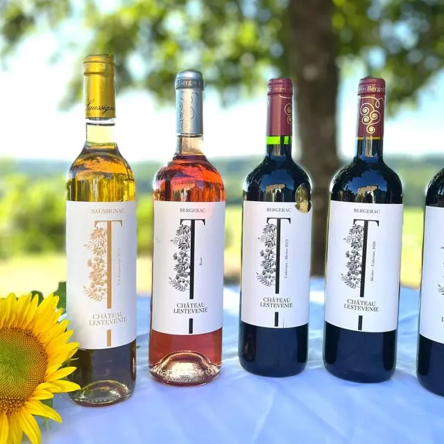 Château Lestevenie_vins