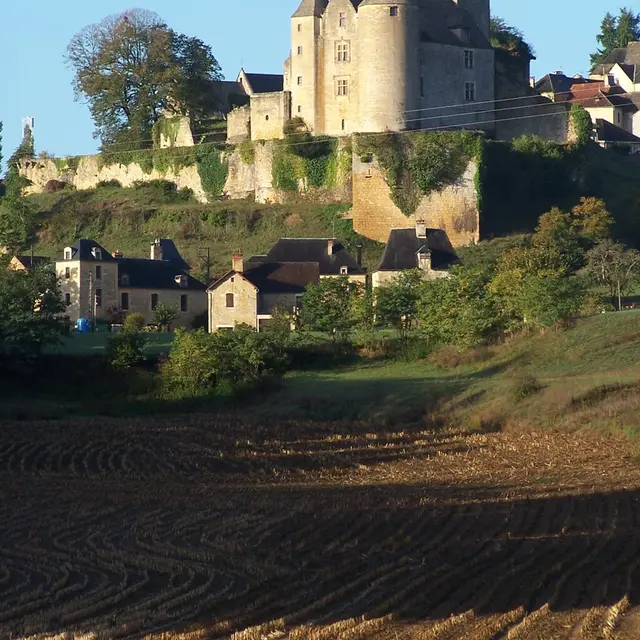 Château de Salignac 2