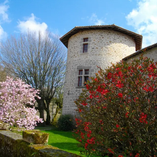 Château des Ducs