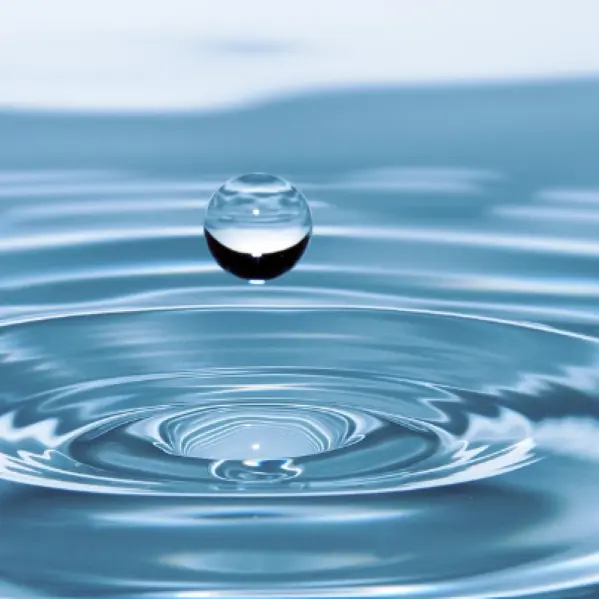 Conférence sur l'eau