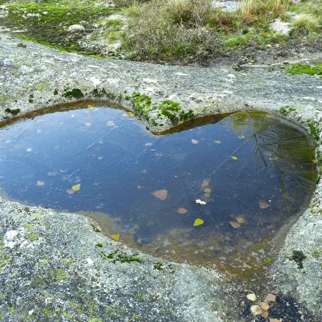 Coeur de géant