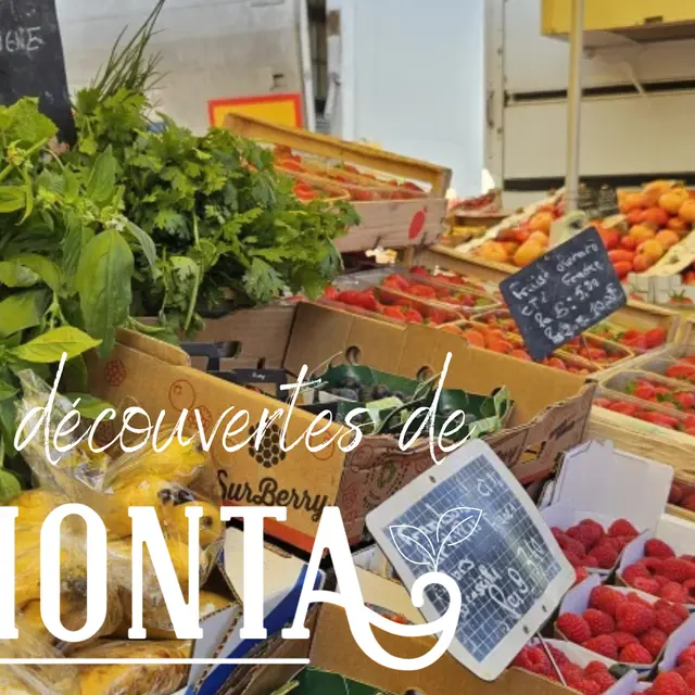 Copie de Sans titre - 1