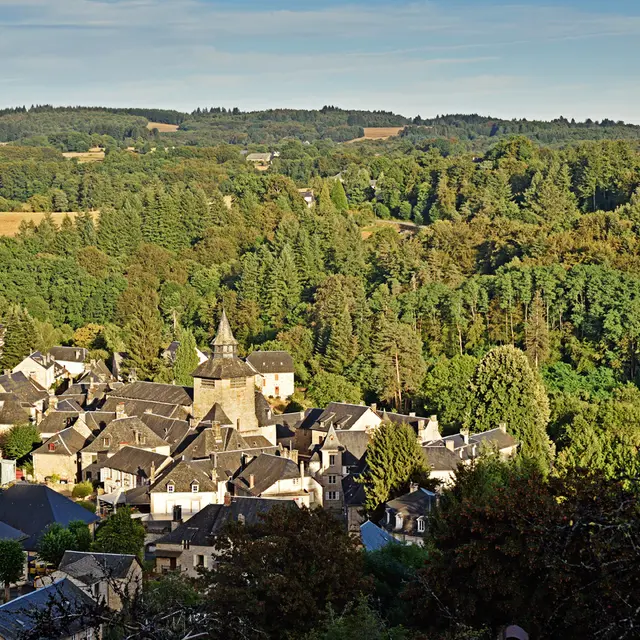 Correze Ramshorn 72dpi 034