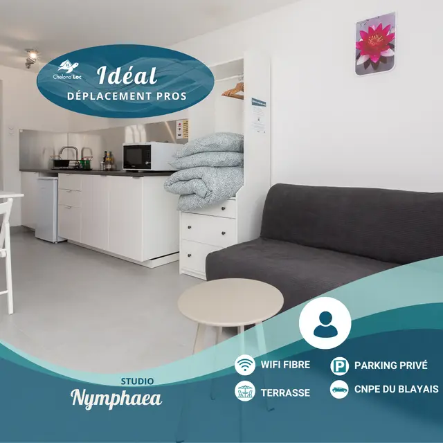 Couverture C004 - Studio Nymphaea CVSI Braud