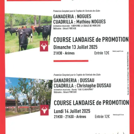 Courses landaises Hinx