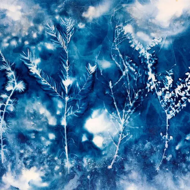 Cyanotype