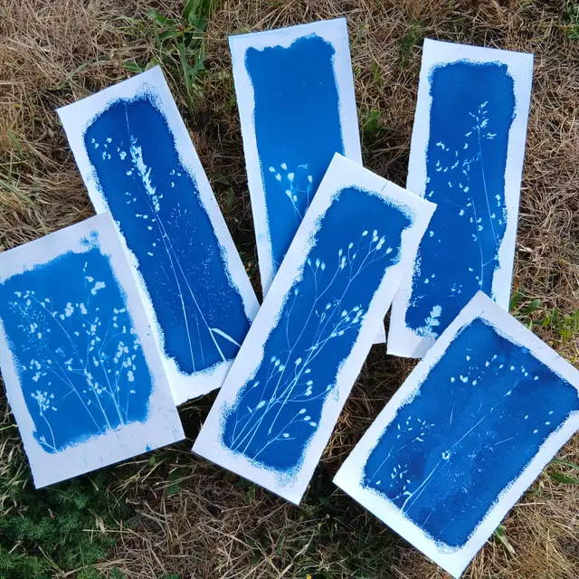 Cyanotype_Gaëlle Caublot