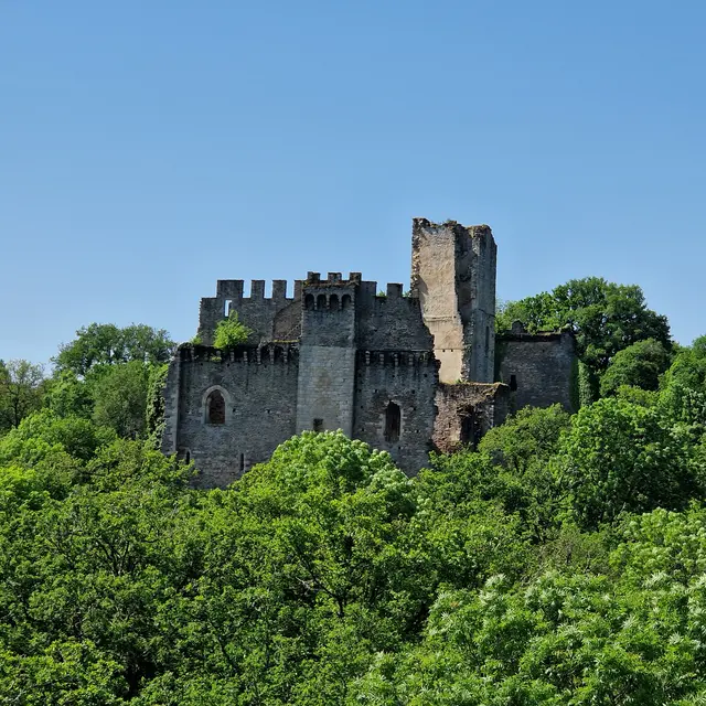 DC3A9partementdelaHaute-Vienne_-_3614