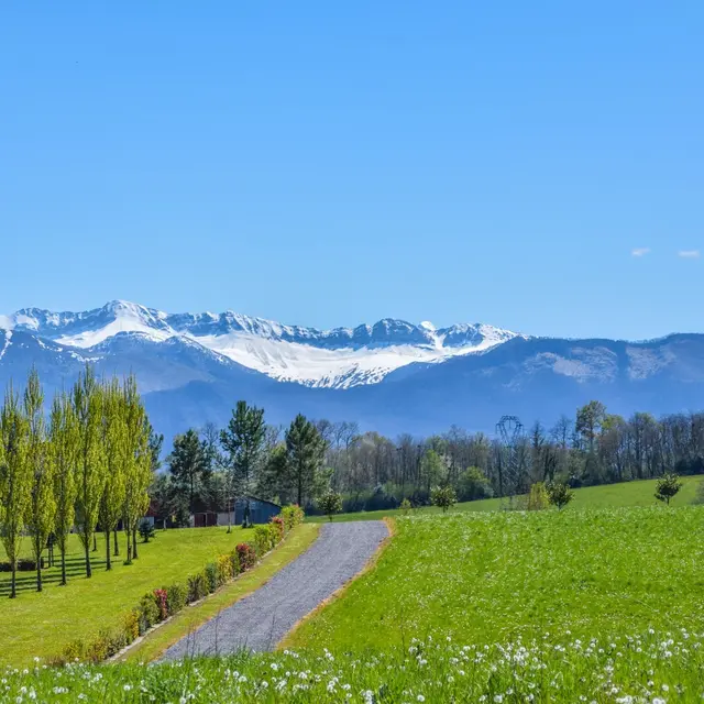 Tolou Acot - Vue Pyrénées