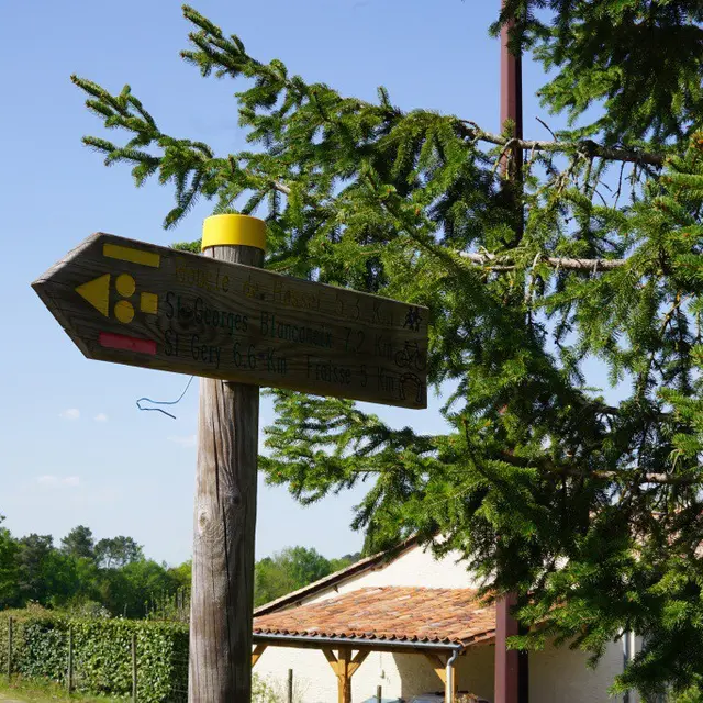 DSC08909