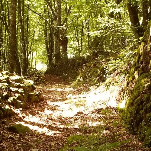 DSCF54493855-1000x500