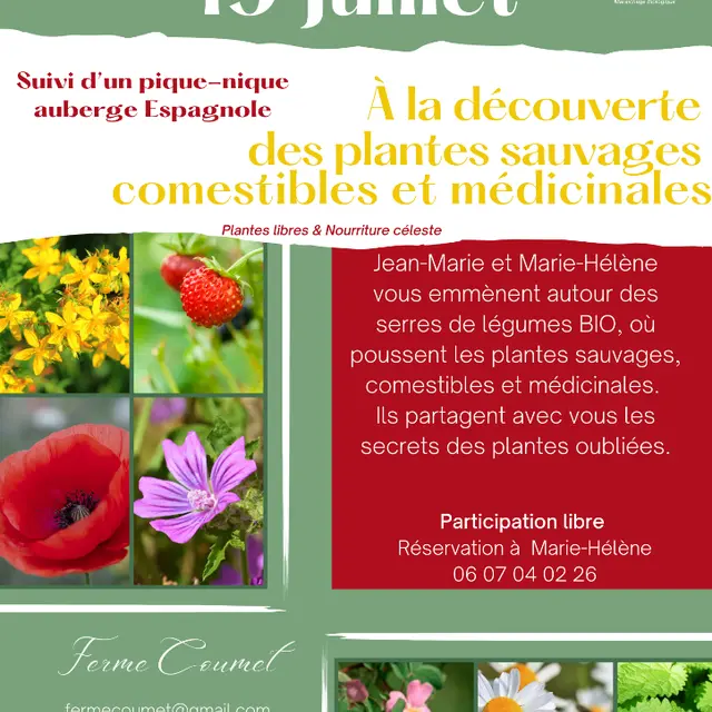 Découverte plantes 19 juillet