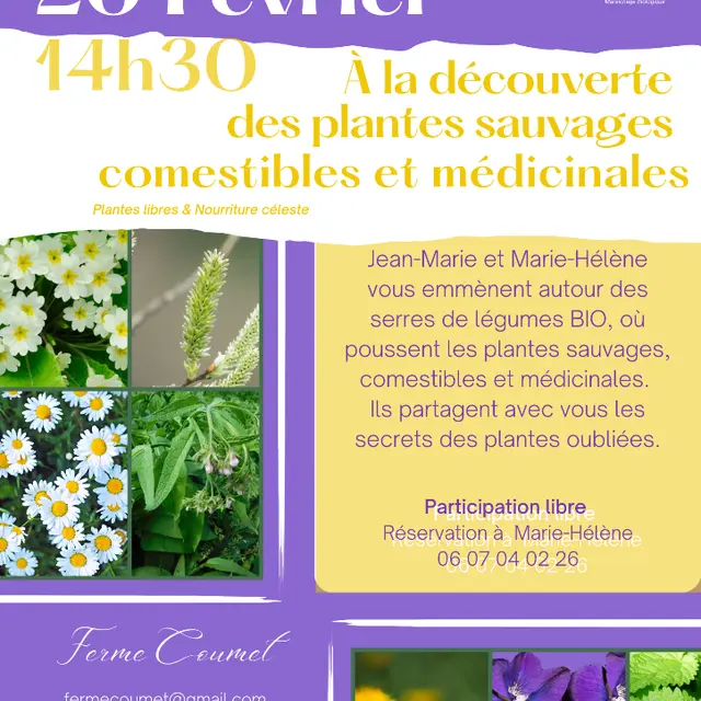 Découverte plantes 20 fevrier