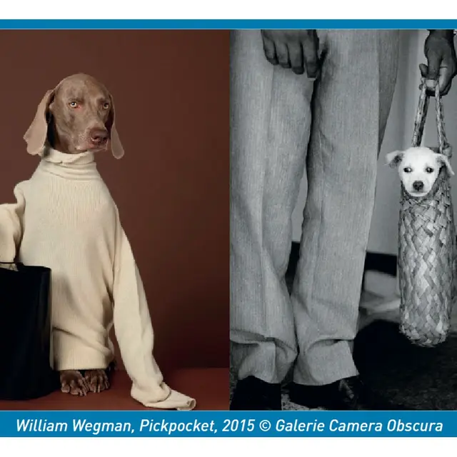 Des chiens et des hommes