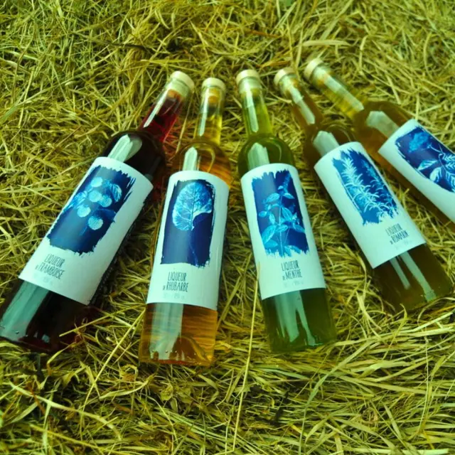 Rencontre de producteur - Distillerie Dandelion