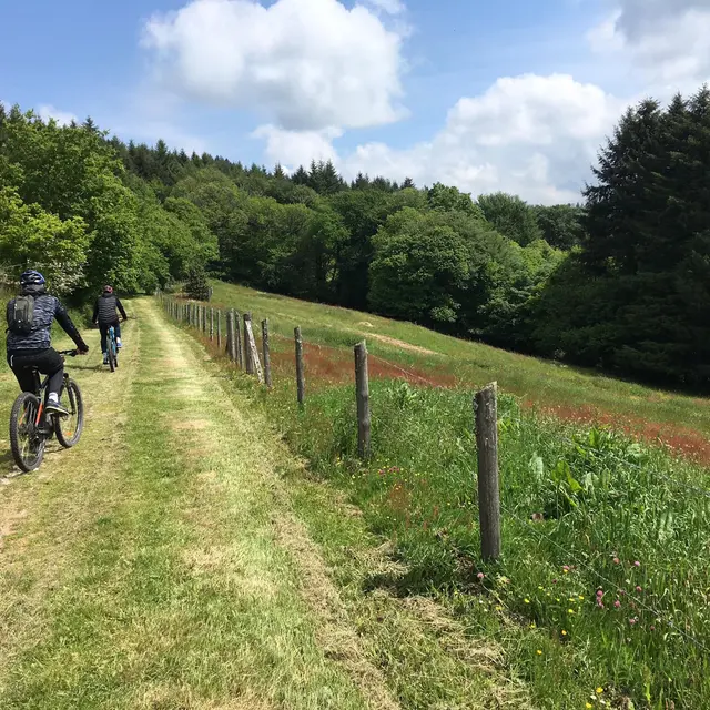 Espace VTT-FFC Monts de Blond (3)