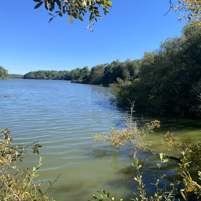 Réserve Naturelle Etang Noir