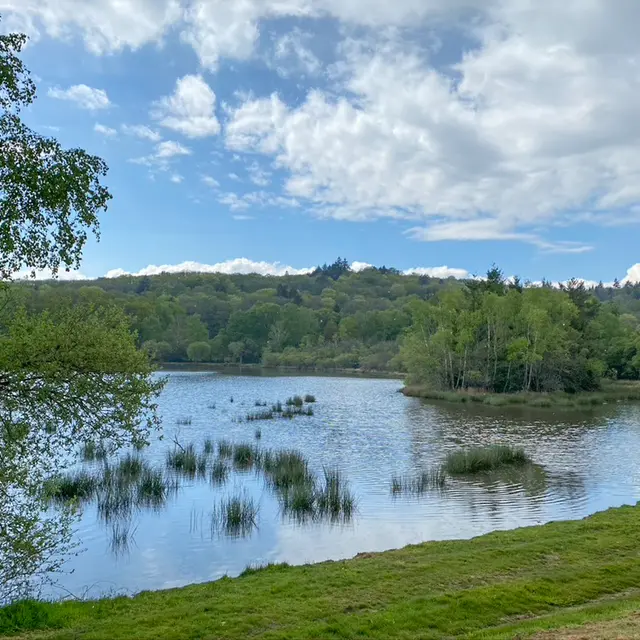 Etang de Mortemare Bonnac BD© Sabine Massé