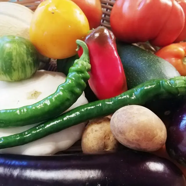 Ferme Coumet - Légumes Bio