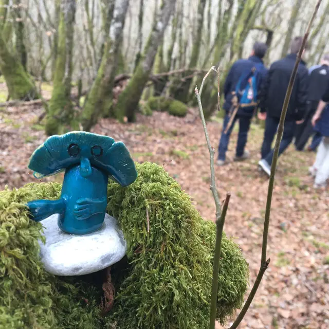 Forêt_blanchefort_5