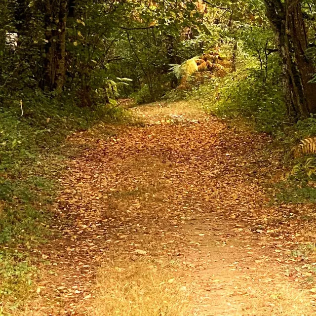 GRUN-BORDAS-Boucle de Bordas-Chemin 2