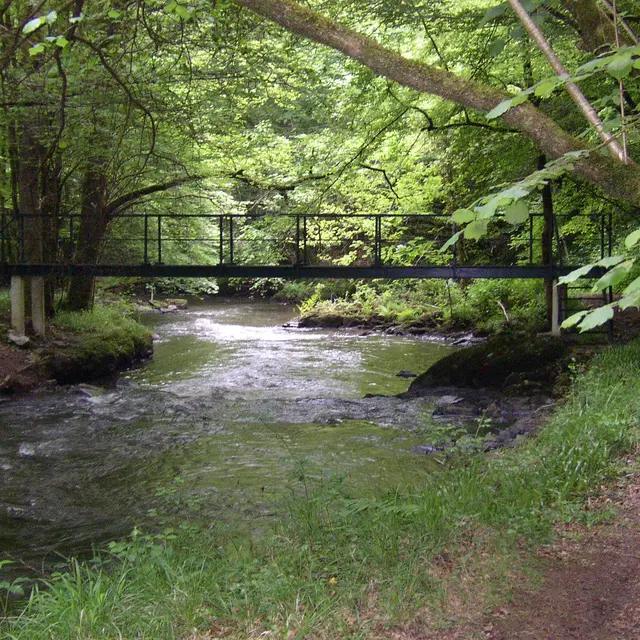 Gorges Loyre - Circuit des Chaises - Orgnac sur Vézère © C.Golfier - Office de Tourisme Terres de Corrèze (1)