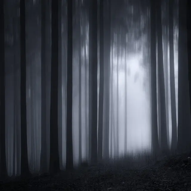 Gretel_Hanzel_Image_libre_de_droit_Wendy_Corniquet