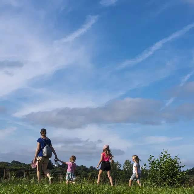 HD_PromenadeNature_0169