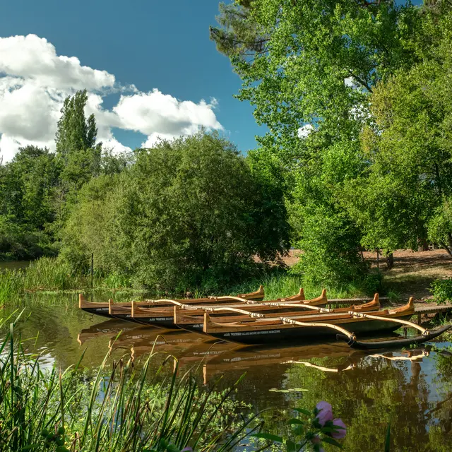 Au cœur de la nature