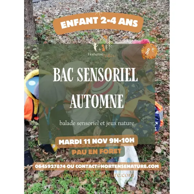 Hortense - bac sensoriel