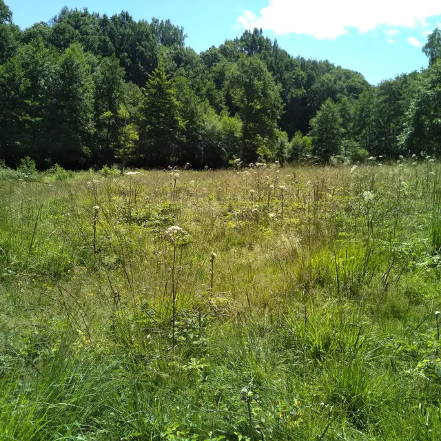 CEN Nouvelle-Aquitaine