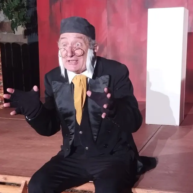 Les Méfaits du Cygne