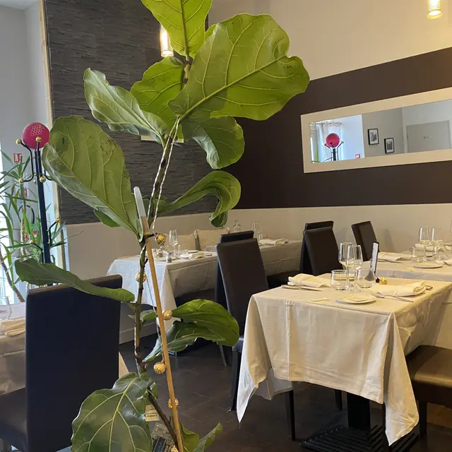 La chtite limousine Restaurant Saint-Junien