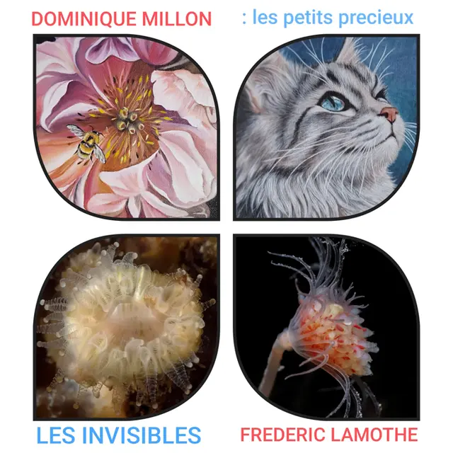 Exposition de Dominique Million et Frederic Lamothe