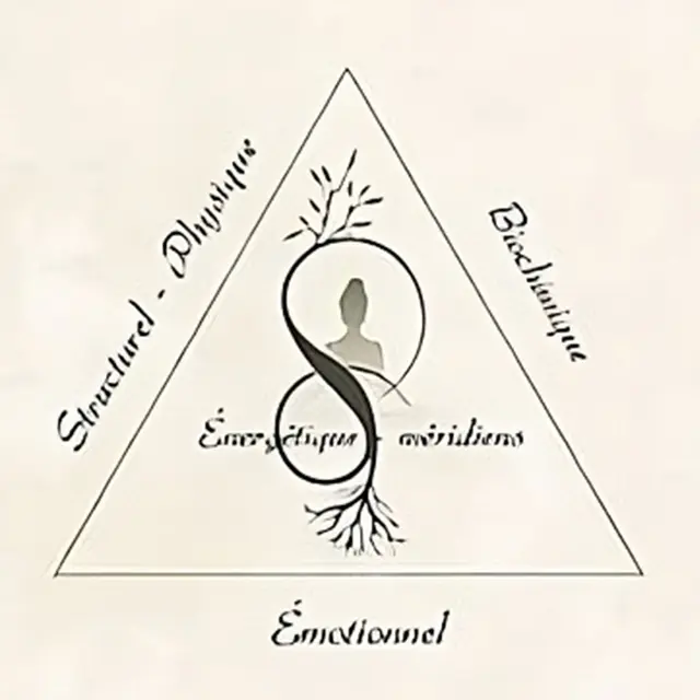 Image-La-kinesiologie