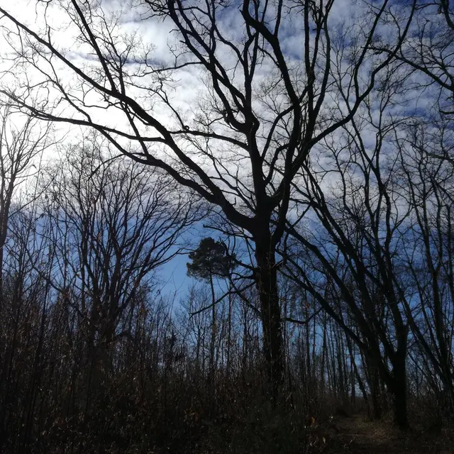 Journiac-Pechorel-06022020 (14)