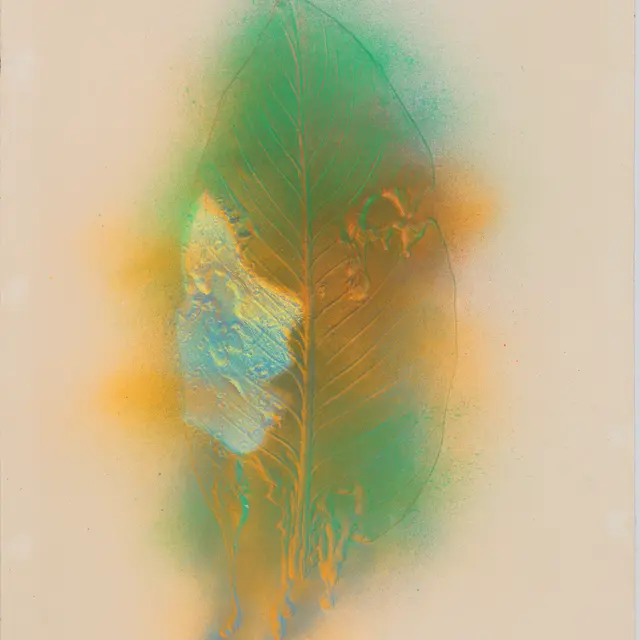 Tetsumi Kudo, Fossil in Hiroshima, 1976. Collection Artothèque