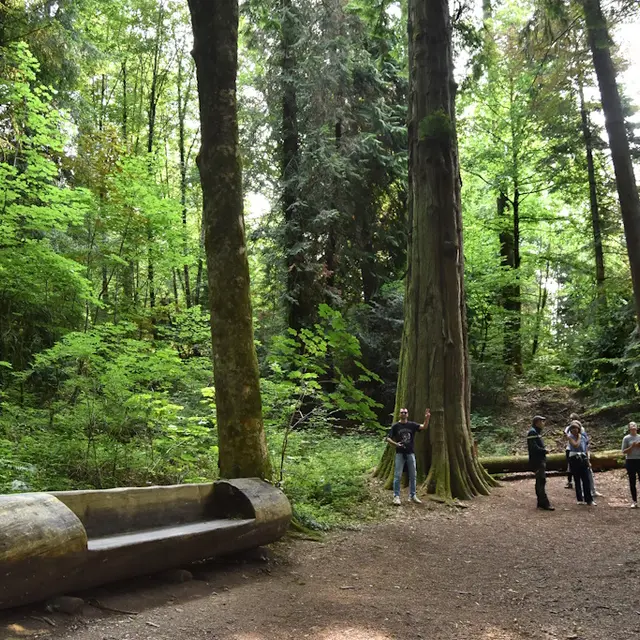 LA JONCHERE Arboretum