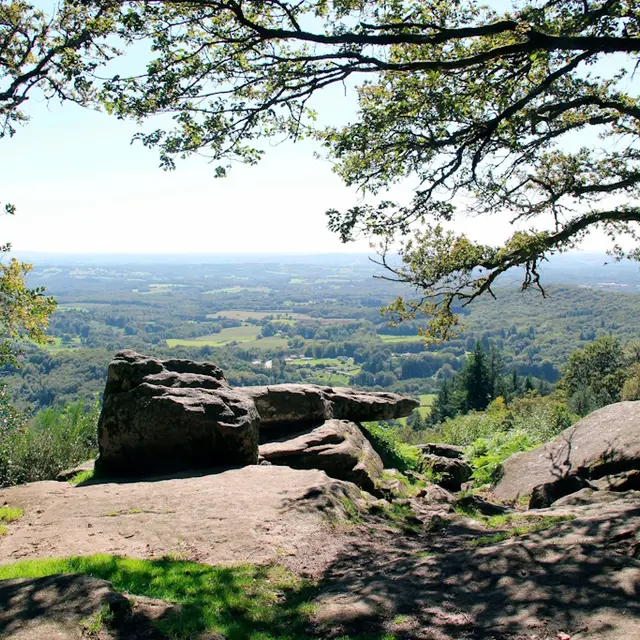 LA JONCHERE Pierre Branlante
