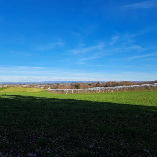 La Grange Vieille - au Tour de la Couade - Troche ©J.lautrete - Office de tourisme terres de correze (2)