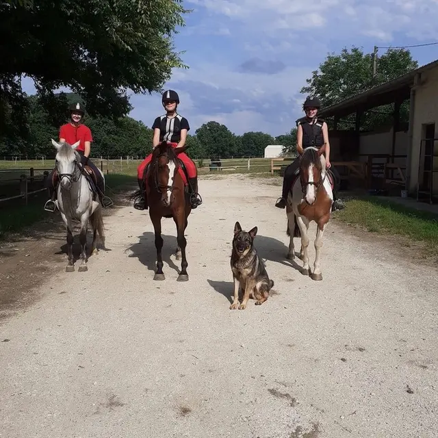 Ladhuie-Equitation--1